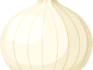 Cebola Branca